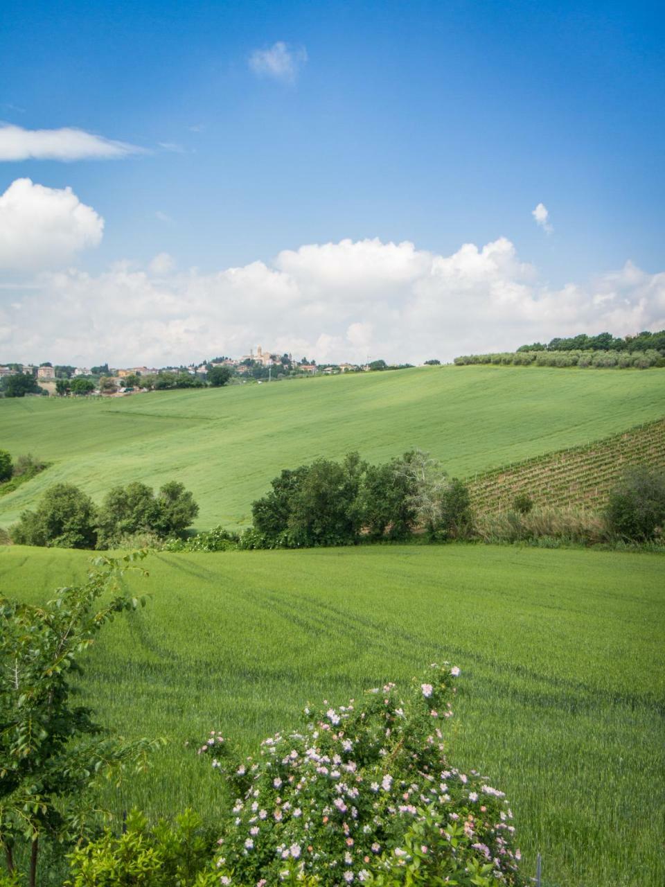 Bed and Breakfast Il Gladiolo San Marcello  Exteriér fotografie